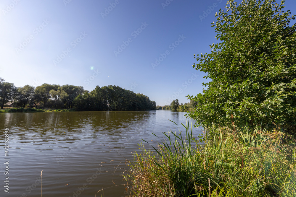 Fototapeta premium A calm lake with a tree in the background