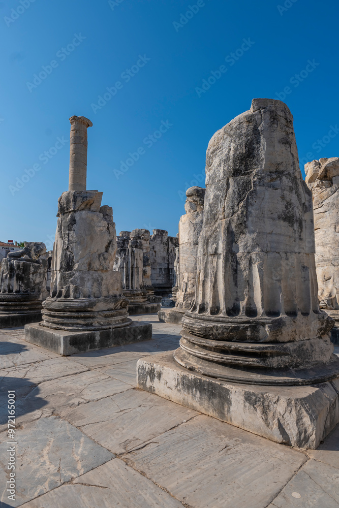 Fototapeta premium Turkey Aydin Province Didim District Didyma Apollon Temple Ruins Columns Worship and Prophecy Point and the Guardian of the Temple Medusa