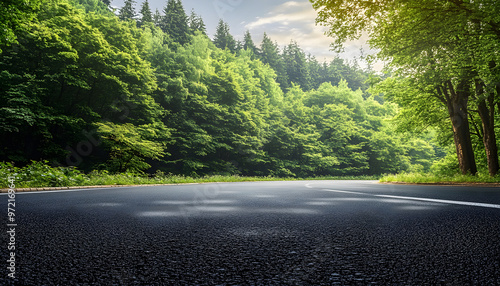 Asphalt road side view with forest.