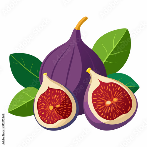 illustration of figs