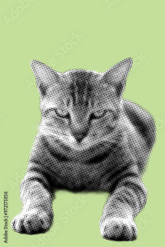 front view cat sitting looking at camera pixelate color halftone dotted texture style collage element	
