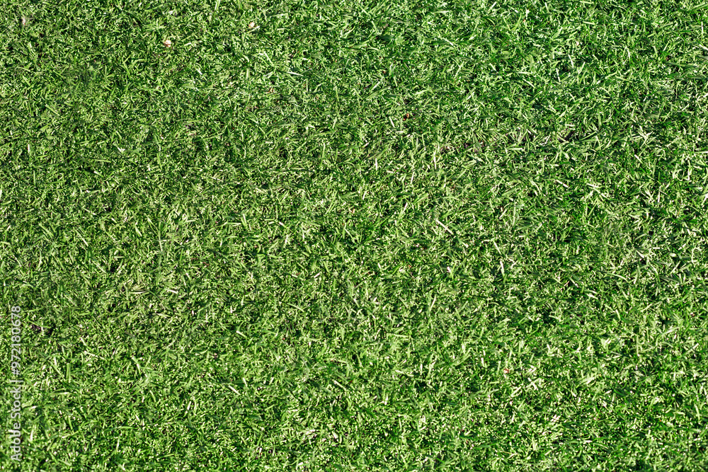 Fototapeta premium Green grass nature spring texture.