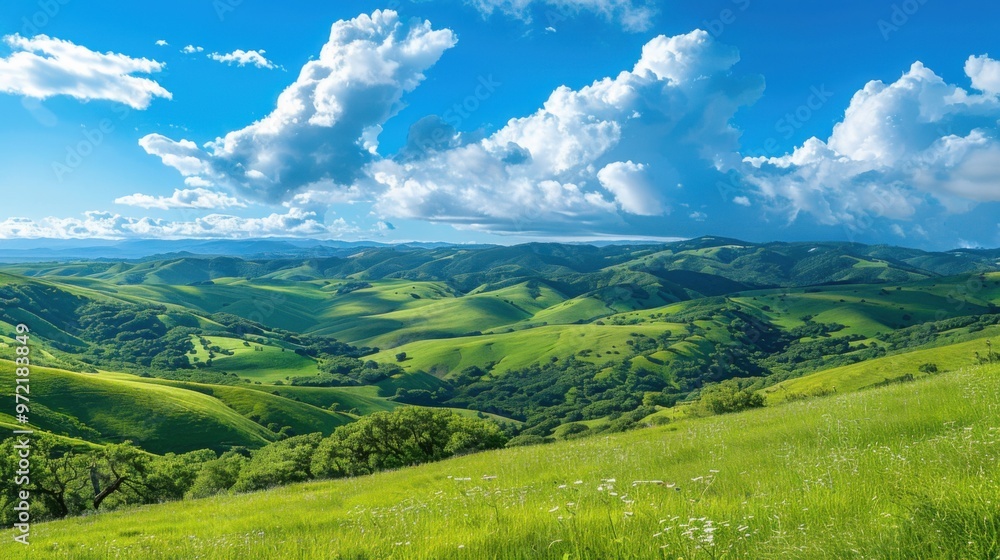 Obraz premium A panoramic view of rolling green hills and meadows under a bright blue sky dotted with puffy white clouds