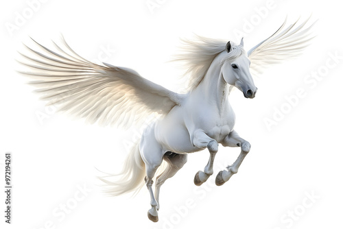 Realistic Illustration of white pegasus horse, phantasy animal isolated on white background 