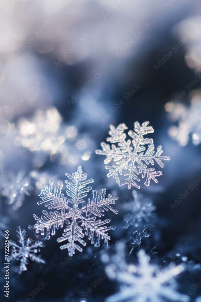 A macro shot of delicate snowflakes A macro shot of delicate snowflakes