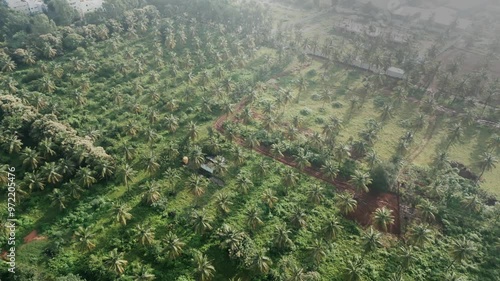 prakruti nagar kogilu Bengaluru Karnataka coconut farm behind the river drone view in india photo