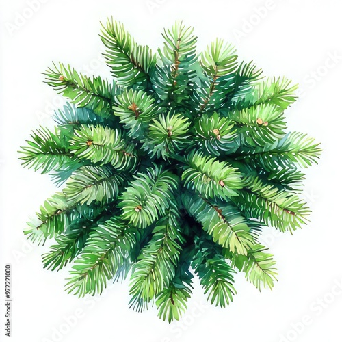 Top view set of green trees Isolated on transparent background, Use for visualization in architectural design or garden decorate. PNG cut out 