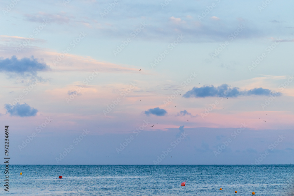 Summer seaside at dusk clouds and birds