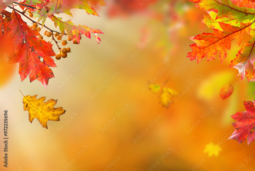 Autumn natural background. Yellow and red maple leaves are flying and falling down. Autumnal landscape. Autumn natural background. Yellow and red maple leaves are flying and falling down. Autumnal landscape.