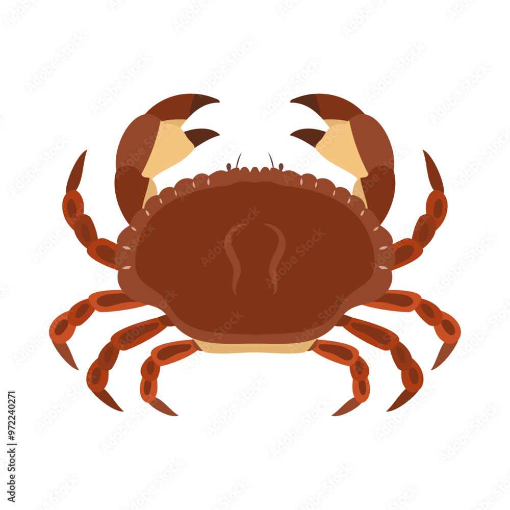 ヨーロッパイチョウガニ。フラットなベクターイラスト。
Edible crab (brown crab). Flat vector illustration. ヨーロッパイチョウガニ。フラットなベクターイラスト。
Edible crab (brown crab). Flat vector illustration.