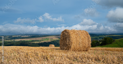 Straw bale on the field, cultivated barley, harvest in the summer, agriculture for food, farmland on the countryside photo