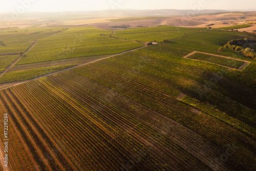 Chapel Hradistek near Velke Bilovice Czech Republic. Vineyard rows in bright sunlight, nestled between hills and trees. Sunlit agricultural wine landscape. photo