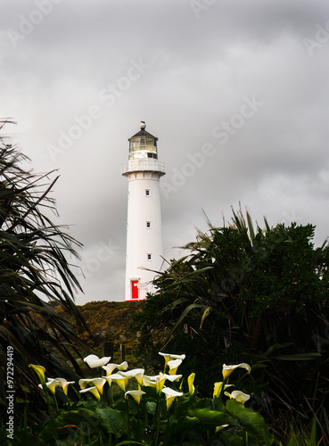 Cape Egmont Lighthouse with white Calla Lily flowers in the foreground. Taranaki. New Zealand. photo