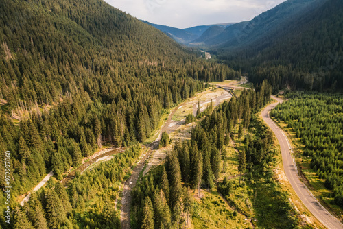 Aerial view of  Transalpina road with many serpentines crossing forest in  Carpathian mountains. Aerial mountains forest trees with road. photo