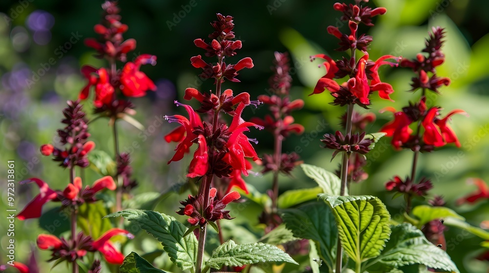 Vibrant Red Flowers in a Lush Garden Vibrant Red Flowers in a Lush Garden