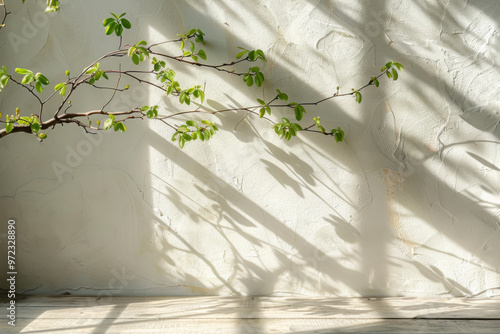 Wooden table background with empty space and ficus leaves shadows