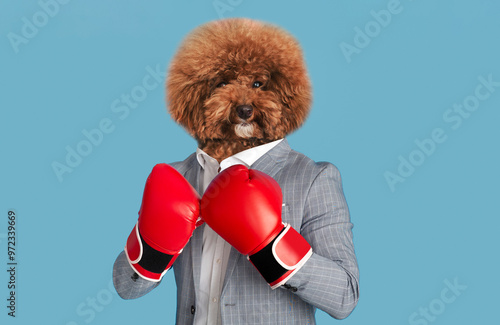 Obraz na plátně A fluffy, brown dog wearing a tailored suit and bright red boxing gloves strikes a playful pose against a blue background, exuding confidence and charm
