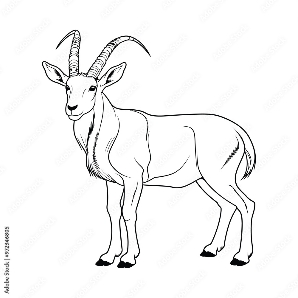 Fototapeta premium coloring book for children