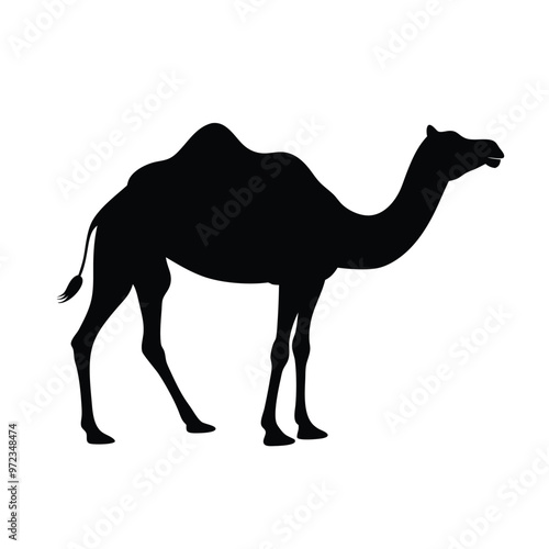 Artistic Camel Line Art silhouette vector.