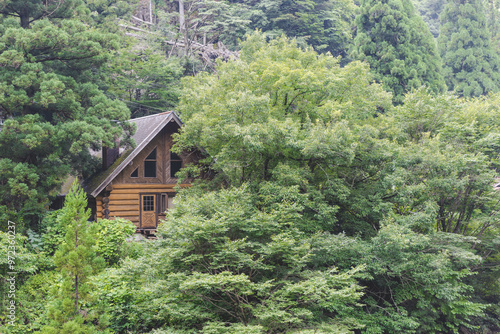 house in forest