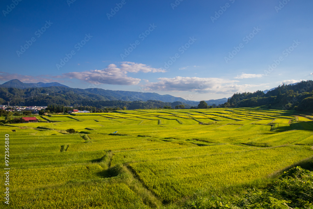 椹平の棚田 椹平の棚田