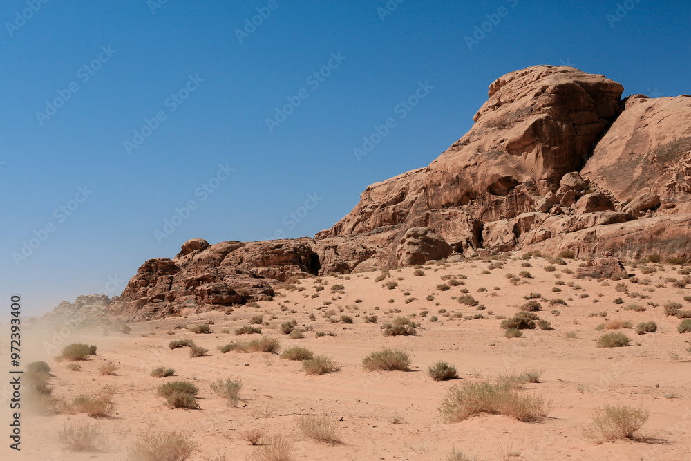 Sandy landscape of Wadi Rum Desert in Jordan with rocky formations and sparse vegetation under a clear blue sky Sandy landscape of Wadi Rum Desert in Jordan with rocky formations and sparse vegetation under a clear blue sky