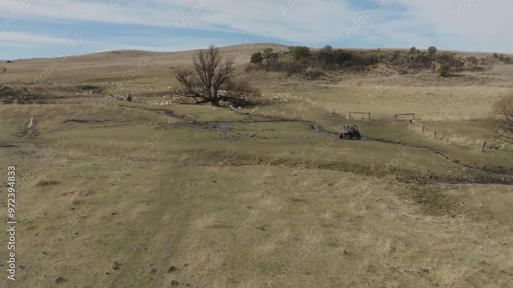 Aerial shot of quad bike on farm with creek and sheep Aerial shot of quad bike on farm with creek and sheep