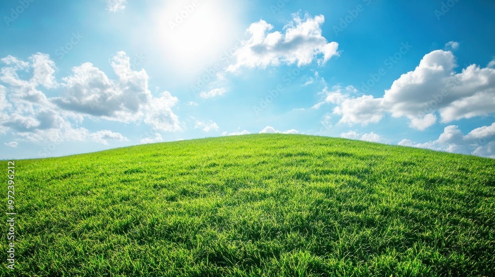 A rolling green hillside under a bright sky with scattered clouds, symbolizing freedom and open possibilities A rolling green hillside under a bright sky with scattered clouds, symbolizing freedom and open possibilities