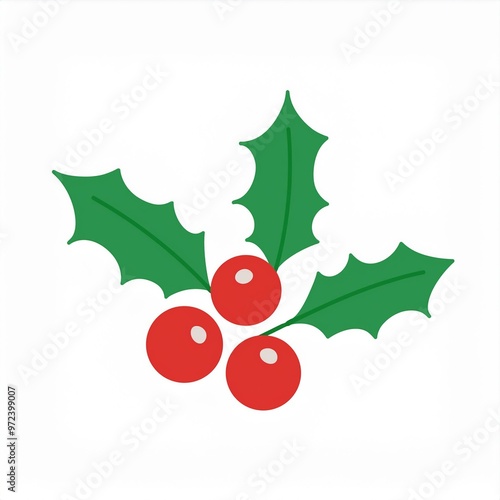 christmas holly berries and leaves isolated on white