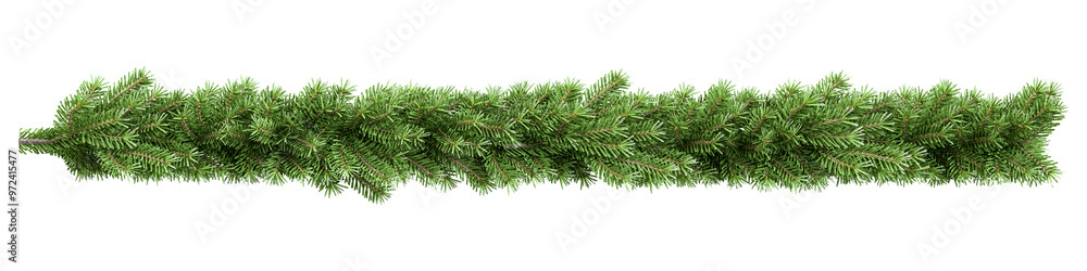 Christmas tree branches garland isolated on white Christmas tree branches garland isolated on white