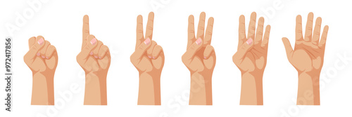 Illustration of a hand showing numbers one to five, with each finger raised accordingly. Simple graphic style on a white background. Concept of counting. Vector illustration