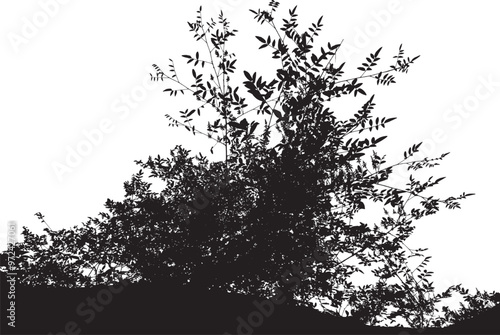 Realistic silhouette of bushes with leaves.
Realistic silhouette of a Bush with leaves (vector illustration)
