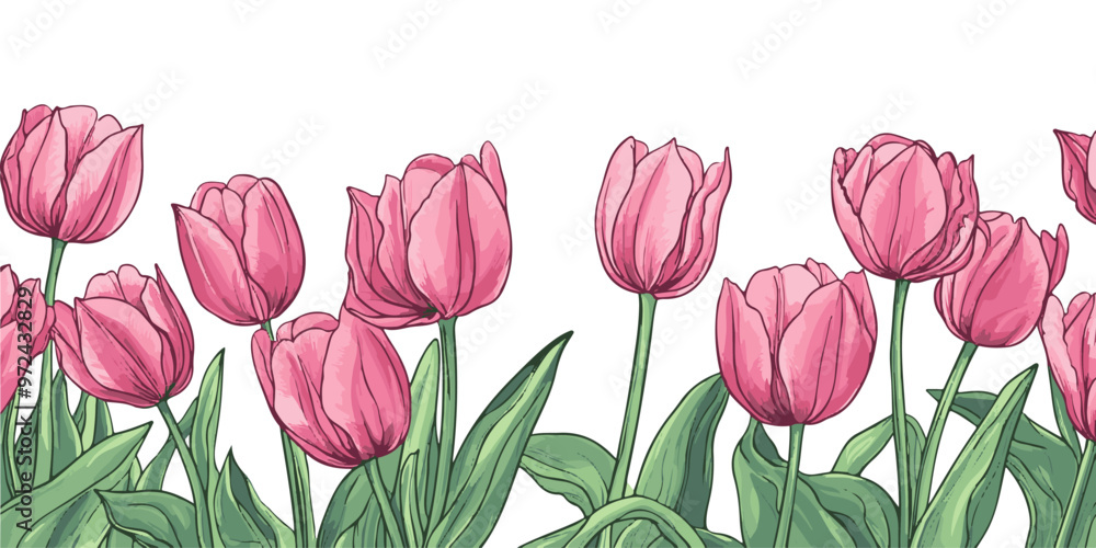 Vector illustration of tulips border with copy space on a white background. Vector illustration of tulips border with copy space on a white background.