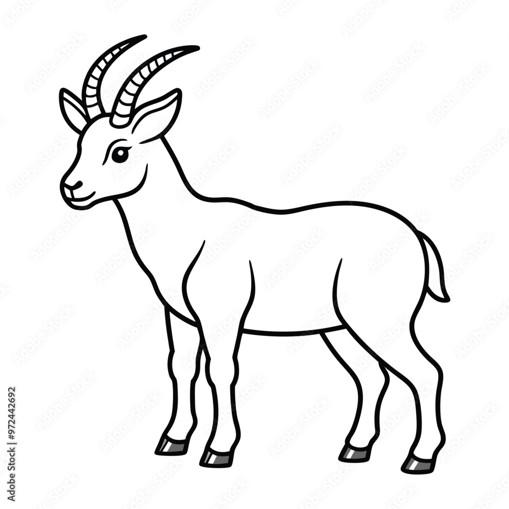 Line drawing, simple illustration, mountain goat, ibex, horns, side view, black and white, outline, minimalist style, children's book illustration, animal sketch, standing pose, clean lines, no backgr Line drawing, simple illustration, mountain goat, ibex, horns, side view, black and white, outline, minimalist style, children's book illustration, animal sketch, standing pose, clean lines, no backgr