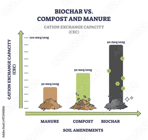 Biochar vs compost and manure cation exchange capacity or CEC outline diagram, transparent background.Labeled scheme with soil ability to hold or exchange cations illustration.