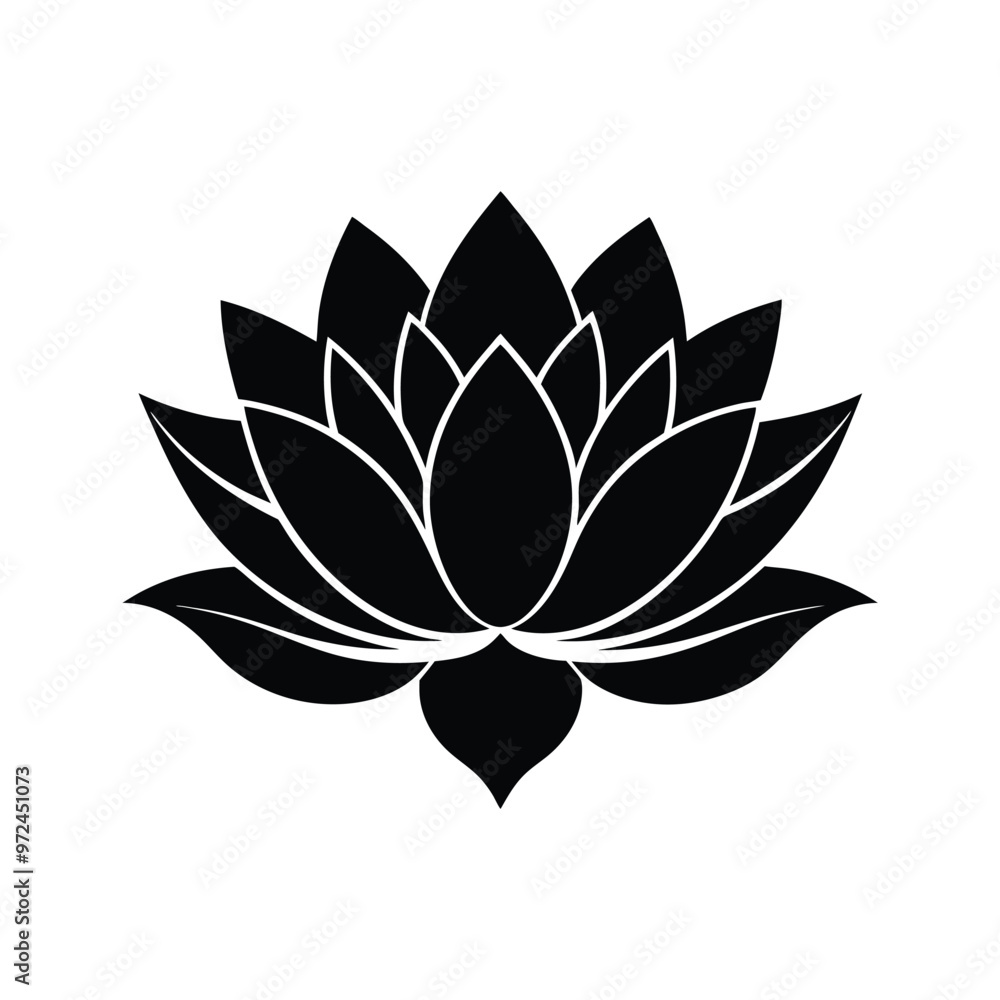 lotus flower on white background lotus flower on white background