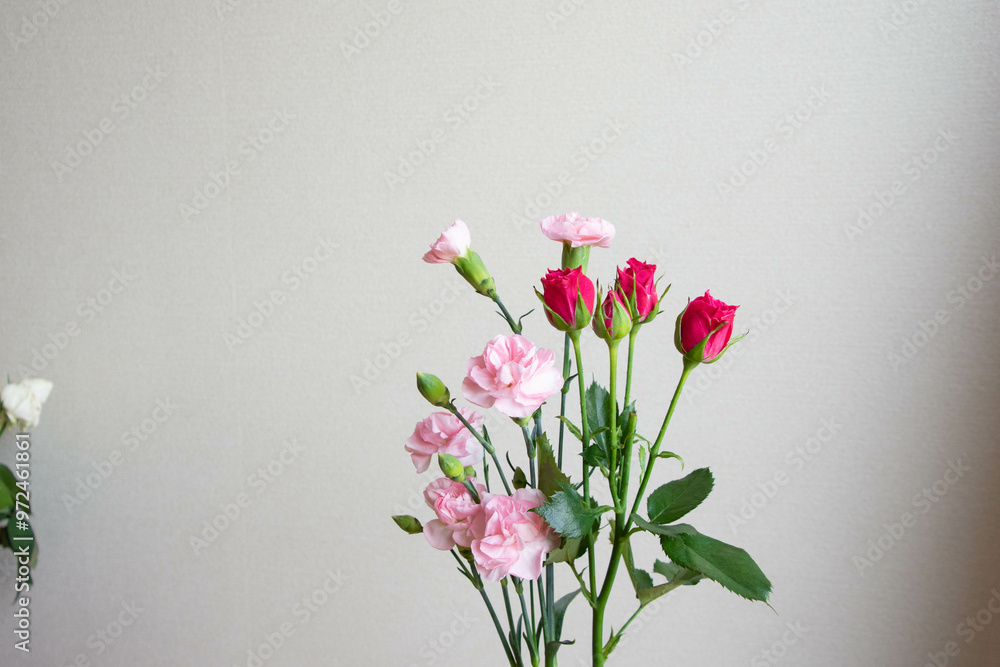 Obraz premium 薔薇とカーネーション