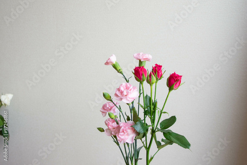 Wallpaper Mural 薔薇とカーネーション Torontodigital.ca