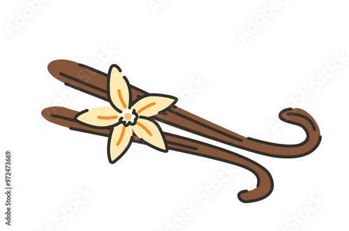 Cinnamon sticks and vanilla flower. Sweet aroma spice.
