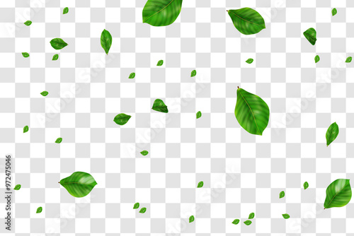 Realistic green leaves flying on transparent background