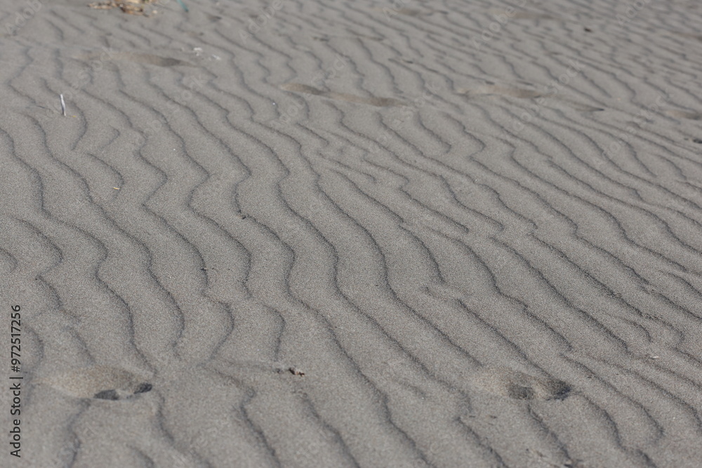 Fototapeta premium sand ripples in the sand