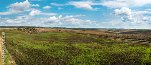 winter wheat on arable land in autumn, hills and a lake on the horizon