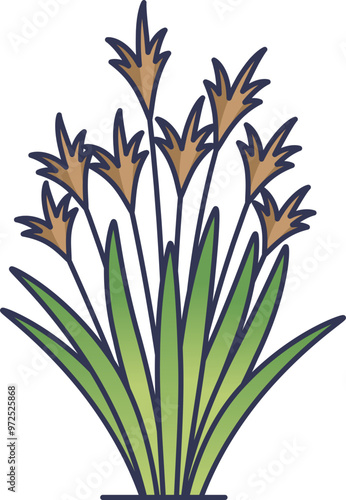Illustration of Miscanthus, a tall grass used for bioenergy.