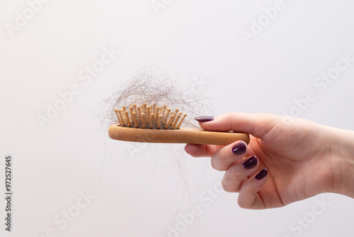 A beautifully manicured hand holds a wooden comb filled with tangled fallen hair, avitaminosis, stress, depression, breakage, thinning, health photo