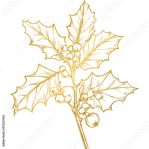 Gold Holly Leaf and Berries Illustration, Elegant Christmas Botanical Design