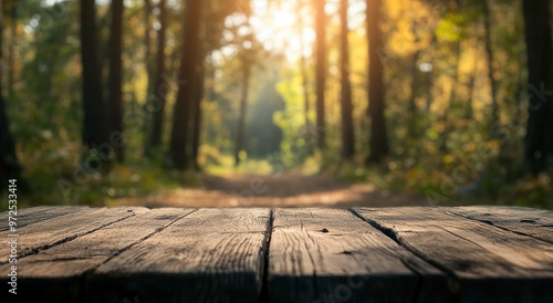 A serene forest scene with a wooden table in the foreground and sunlight filtering through trees.