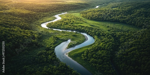 Aerial view of a winding river through lush green forests and meadows at sunset.