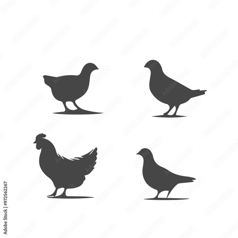 Domestic animal silhouette. Domestic animal vector design on white background. Domestic animal silhouette. Domestic animal vector design on white background.