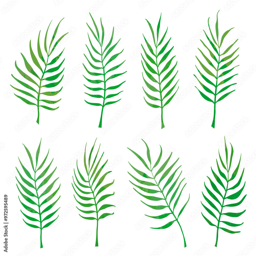 Green palm leaves on a white background. Vector set of curved branches. Palm leaves, bending twigs.
Vector illustration. Green palm leaves on a white background. Vector set of curved branches. Palm leaves, bending twigs.
Vector illustration.