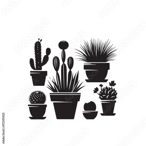 Cactus vector illustration. Desert cactus logo, icon design isolated on white background.